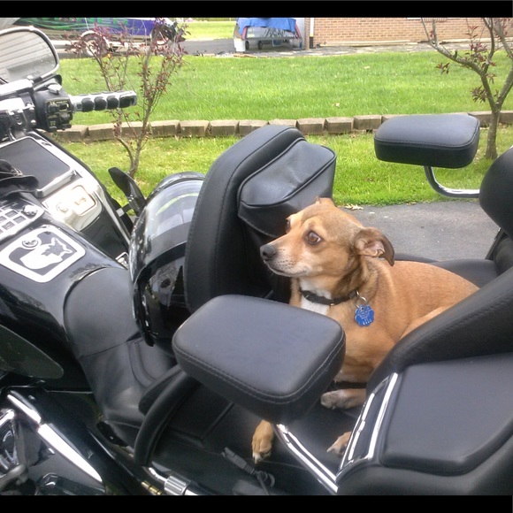 Meet your Posher, KB - Picture 3 of 11